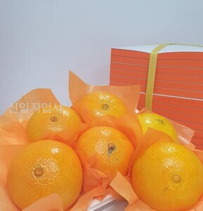 과일포장지(주황색) 전지 500장 (1연)