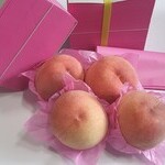 과일포장지(연분홍) 전지 500장 (1연)