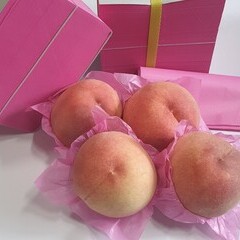 과일포장지(연분홍) 전지 500장 (1연)