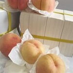 과일포장지(백색) 전지 500장 (1연)