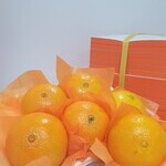 과일포장지(주황) 전지 500장 (1연)
