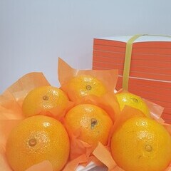 과일포장지(주황) 전지 500장 (1연)
